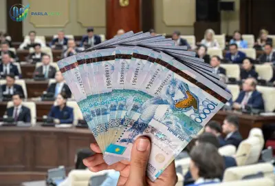 Фото: Депутаттарының жалақысы 